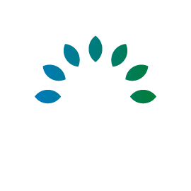 welcome to the International Tissue Company